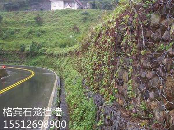 timg2CHQZ6UO_副本.jpg