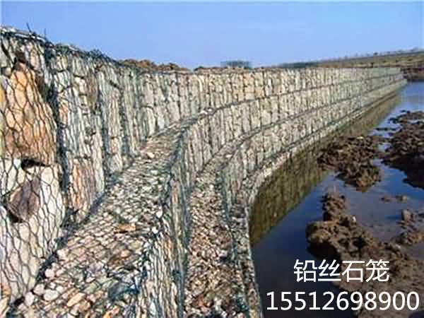 timg88789_副本.jpg